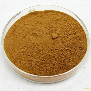 Angelica Extract