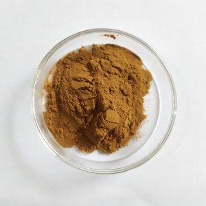 Mangosteen Extract 