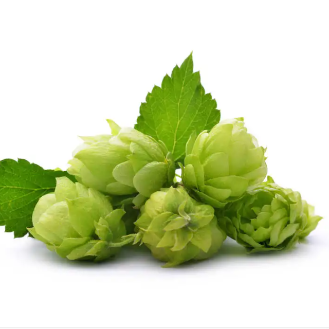 Hop Extract Xanthohumol 3% Beer Flower Flavonoids 20%
